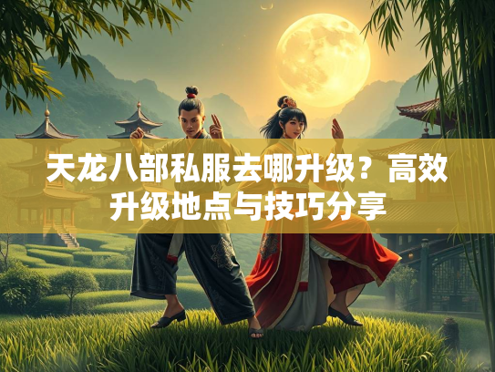 天龙八部私服去哪升级？高效升级地点与技巧分享  第3张