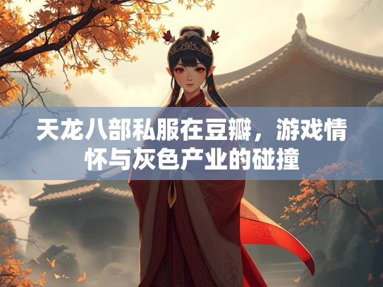天龙八部私服在豆瓣，游戏情怀与灰色产业的碰撞  第2张
