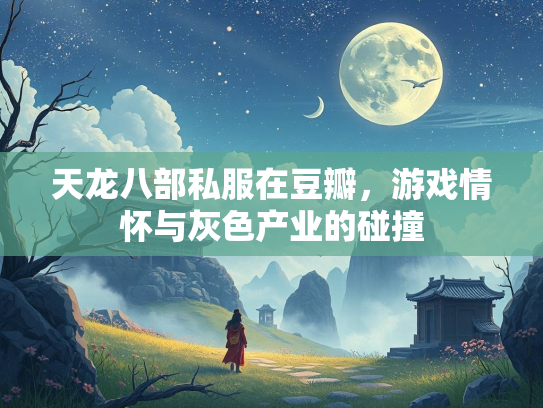 天龙八部私服在豆瓣，游戏情怀与灰色产业的碰撞  第1张