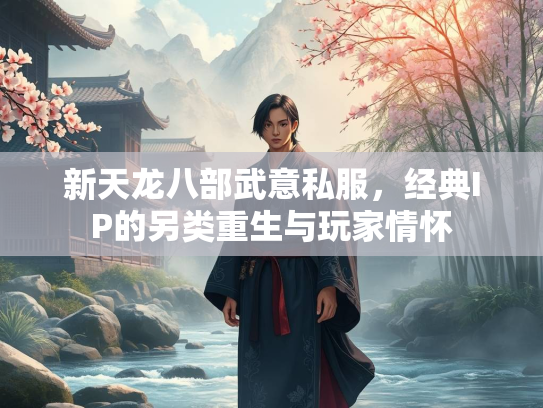 新天龙八部武意私服，经典IP的另类重生与玩家情怀  第1张