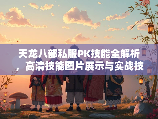 天龙八部私服PK技能全解析，高清技能图片展示与实战技巧  第3张