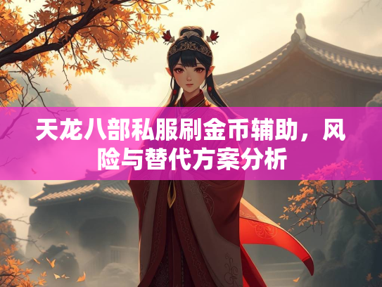 天龙八部私服刷金币辅助，风险与替代方案分析