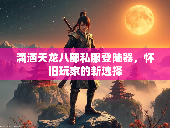 潇洒天龙八部私服登陆器，怀旧玩家的新选择