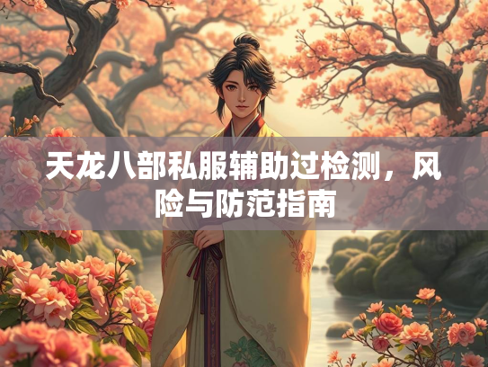 天龙八部私服辅助过检测，风险与防范指南