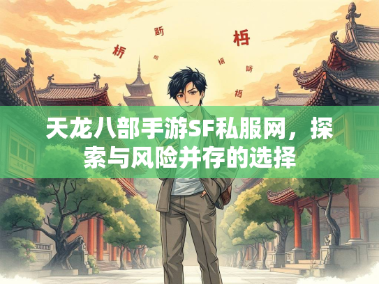 天龙八部手游SF私服网，探索与风险并存的选择