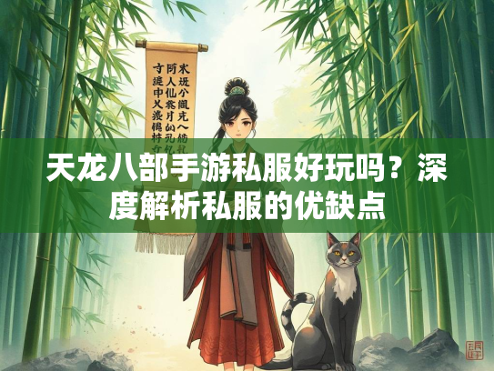 天龙八部手游私服好玩吗？深度解析私服的优缺点