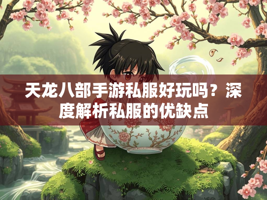 天龙八部手游私服好玩吗？深度解析私服的优缺点
