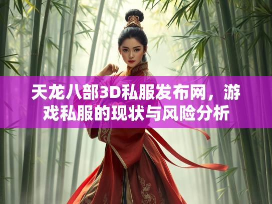 天龙八部3D私服发布网，游戏私服的现状与风险分析