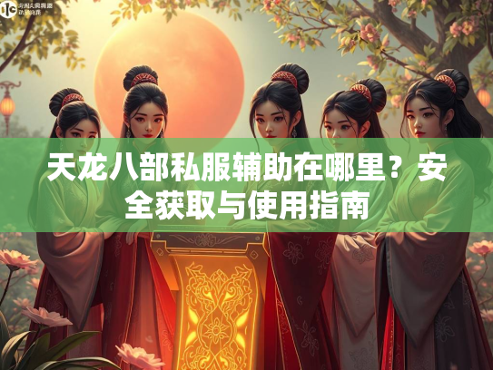 天龙八部私服辅助在哪里？安全获取与使用指南  第2张
