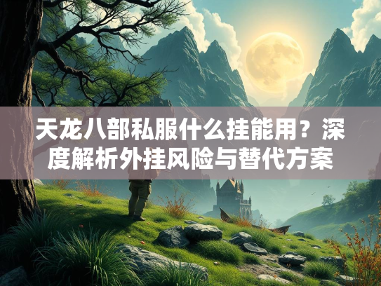 天龙八部私服什么挂能用？深度解析外挂风险与替代方案  第1张