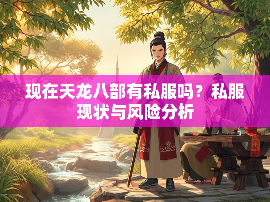 现在天龙八部有私服吗？私服现状与风险分析  第2张