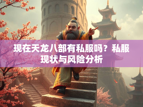 现在天龙八部有私服吗？私服现状与风险分析  第1张