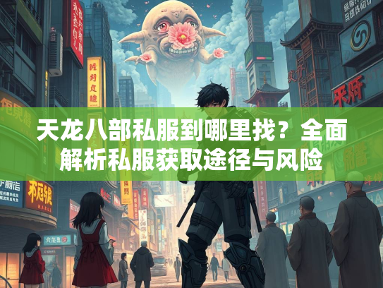 天龙八部私服到哪里找？全面解析私服获取途径与风险
