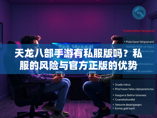 天龙八部手游有私服版吗？私服的风险与官方正版的优势