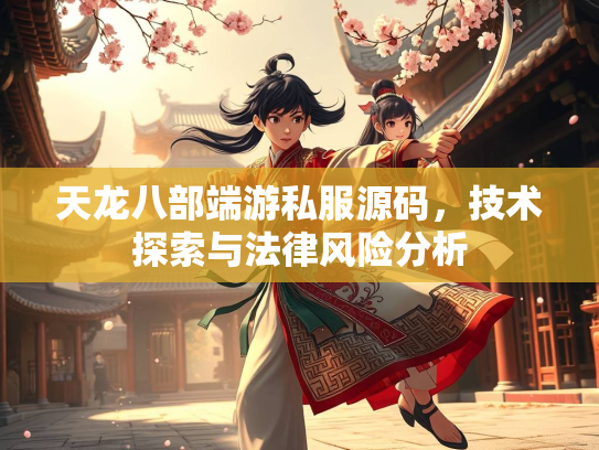 天龙八部端游私服源码，技术探索与法律风险分析  第2张