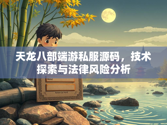 天龙八部端游私服源码，技术探索与法律风险分析  第3张