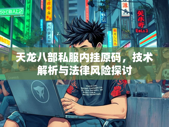天龙八部私服内挂原码，技术解析与法律风险探讨