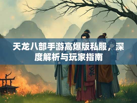 天龙八部手游高爆版私服，深度解析与玩家指南  第3张