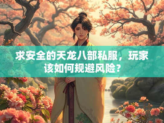 求安全的天龙八部私服，玩家该如何规避风险？