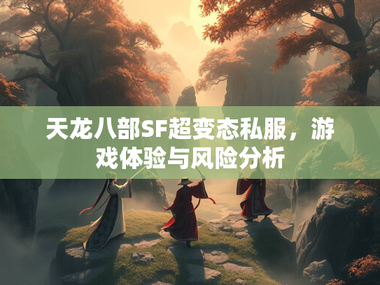 天龙八部SF超变态私服，游戏体验与风险分析