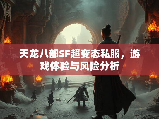 天龙八部SF超变态私服，游戏体验与风险分析