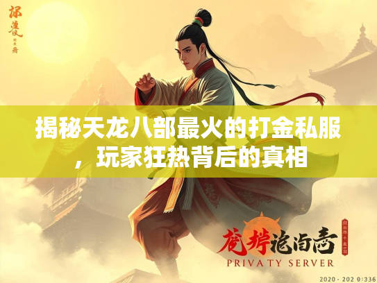 揭秘天龙八部最火的打金私服，玩家狂热背后的真相