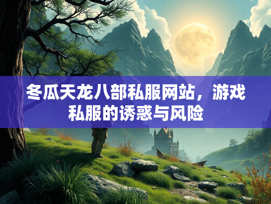 冬瓜天龙八部私服网站，游戏私服的诱惑与风险
