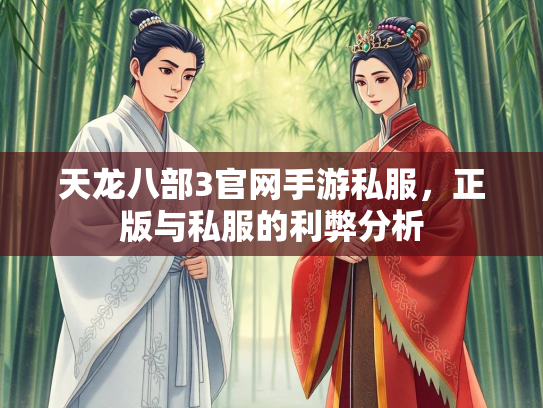 天龙八部3官网手游私服，正版与私服的利弊分析