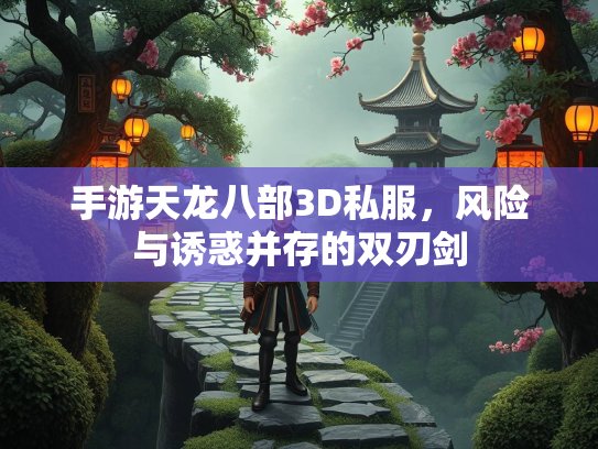 手游天龙八部3D私服，风险与诱惑并存的双刃剑