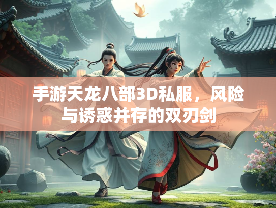 手游天龙八部3D私服，风险与诱惑并存的双刃剑
