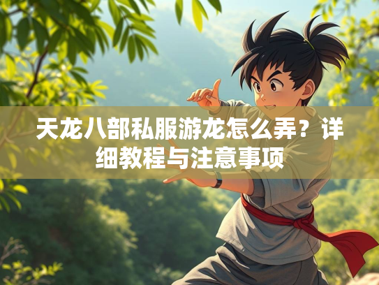 天龙八部私服游龙怎么弄？详细教程与注意事项