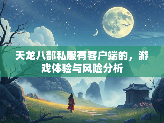 天龙八部私服有客户端的，游戏体验与风险分析  第4张