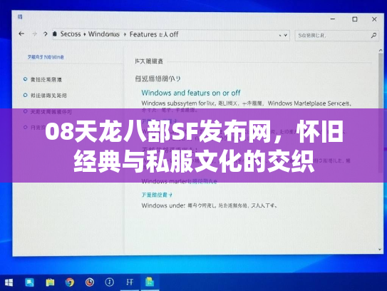 08天龙八部SF发布网，怀旧经典与私服文化的交织