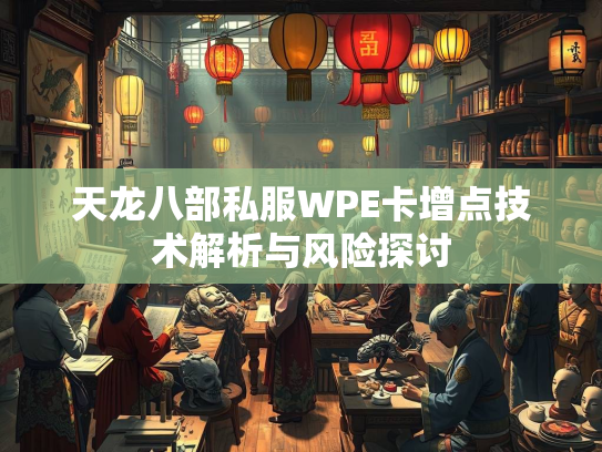 天龙八部私服WPE卡增点技术解析与风险探讨