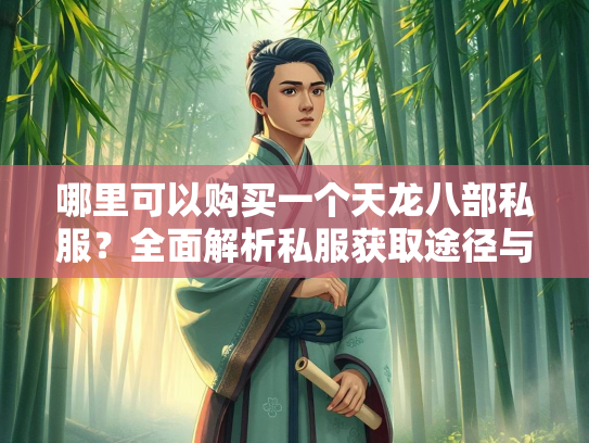 哪里可以购买一个天龙八部私服？全面解析私服获取途径与注意事项