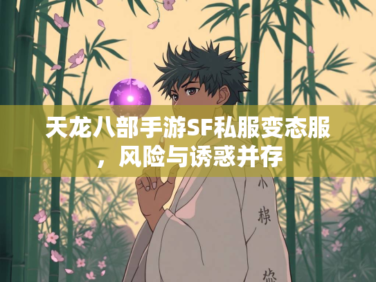 天龙八部手游SF私服变态服，风险与诱惑并存