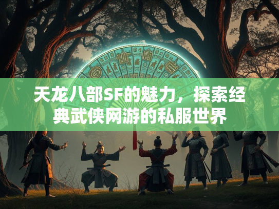 天龙八部SF的魅力，探索经典武侠网游的私服世界