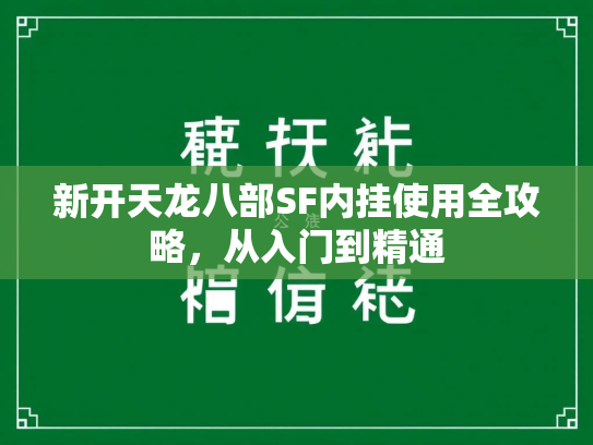 新开天龙八部SF内挂使用全攻略，从入门到精通