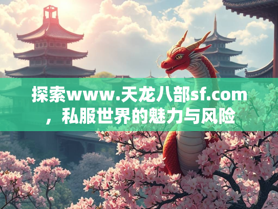 探索www.天龙八部sf.com，私服世界的魅力与风险