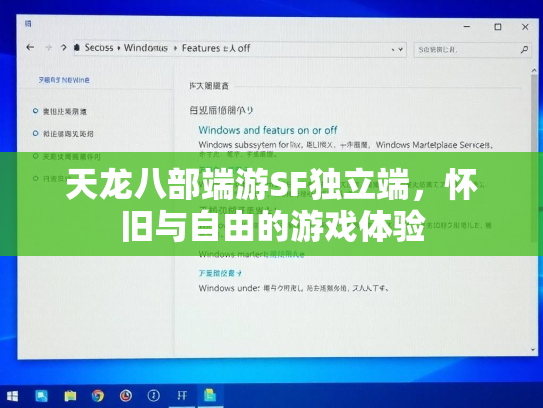 天龙八部端游SF独立端，怀旧与自由的游戏体验