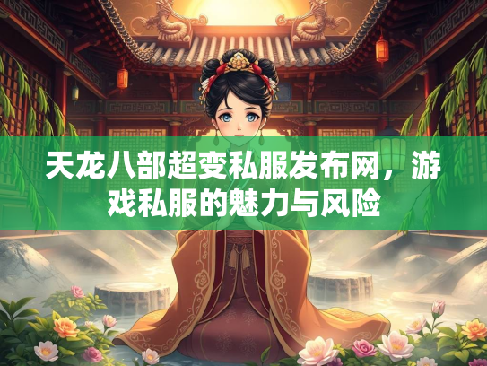 天龙八部超变私服发布网，游戏私服的魅力与风险