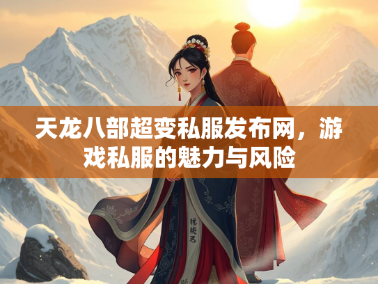 天龙八部超变私服发布网，游戏私服的魅力与风险