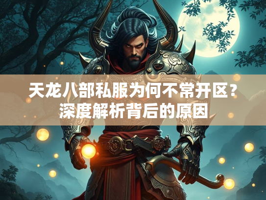天龙八部私服为何不常开区？深度解析背后的原因