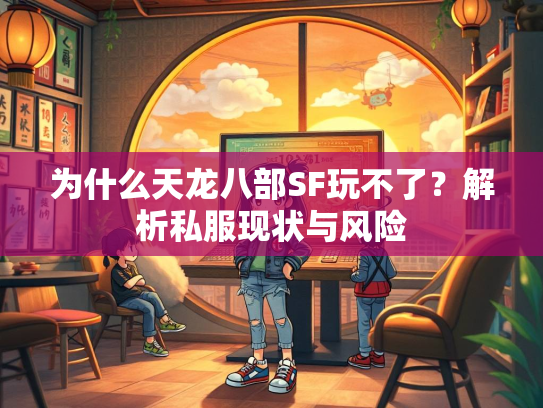 为什么天龙八部SF玩不了？解析私服现状与风险