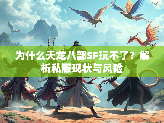 为什么天龙八部SF玩不了？解析私服现状与风险