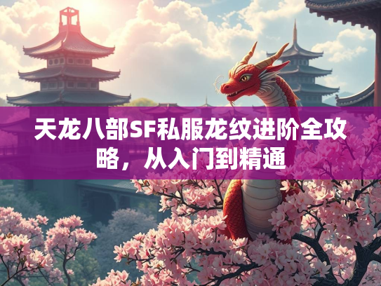 天龙八部SF私服龙纹进阶全攻略，从入门到精通