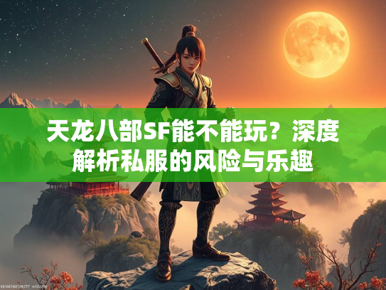 天龙八部SF能不能玩？深度解析私服的风险与乐趣