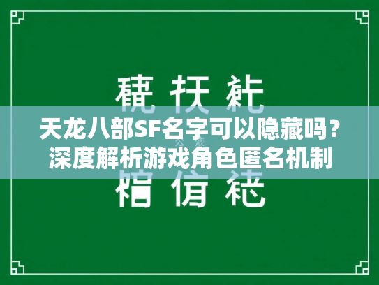 天龙八部SF名字可以隐藏吗？深度解析游戏角色匿名机制