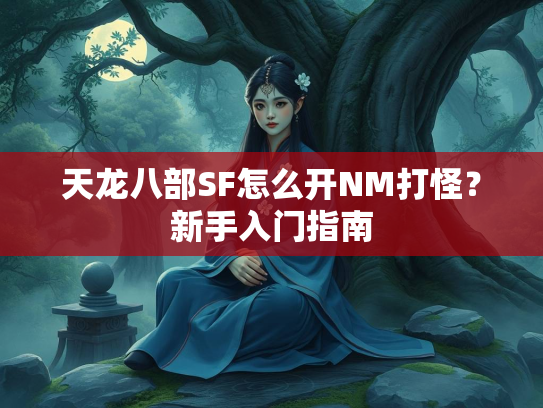 天龙八部SF怎么开NM打怪？新手入门指南
