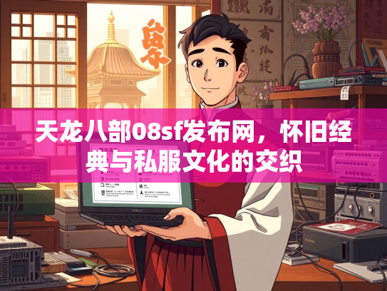 天龙八部08sf发布网，怀旧经典与私服文化的交织